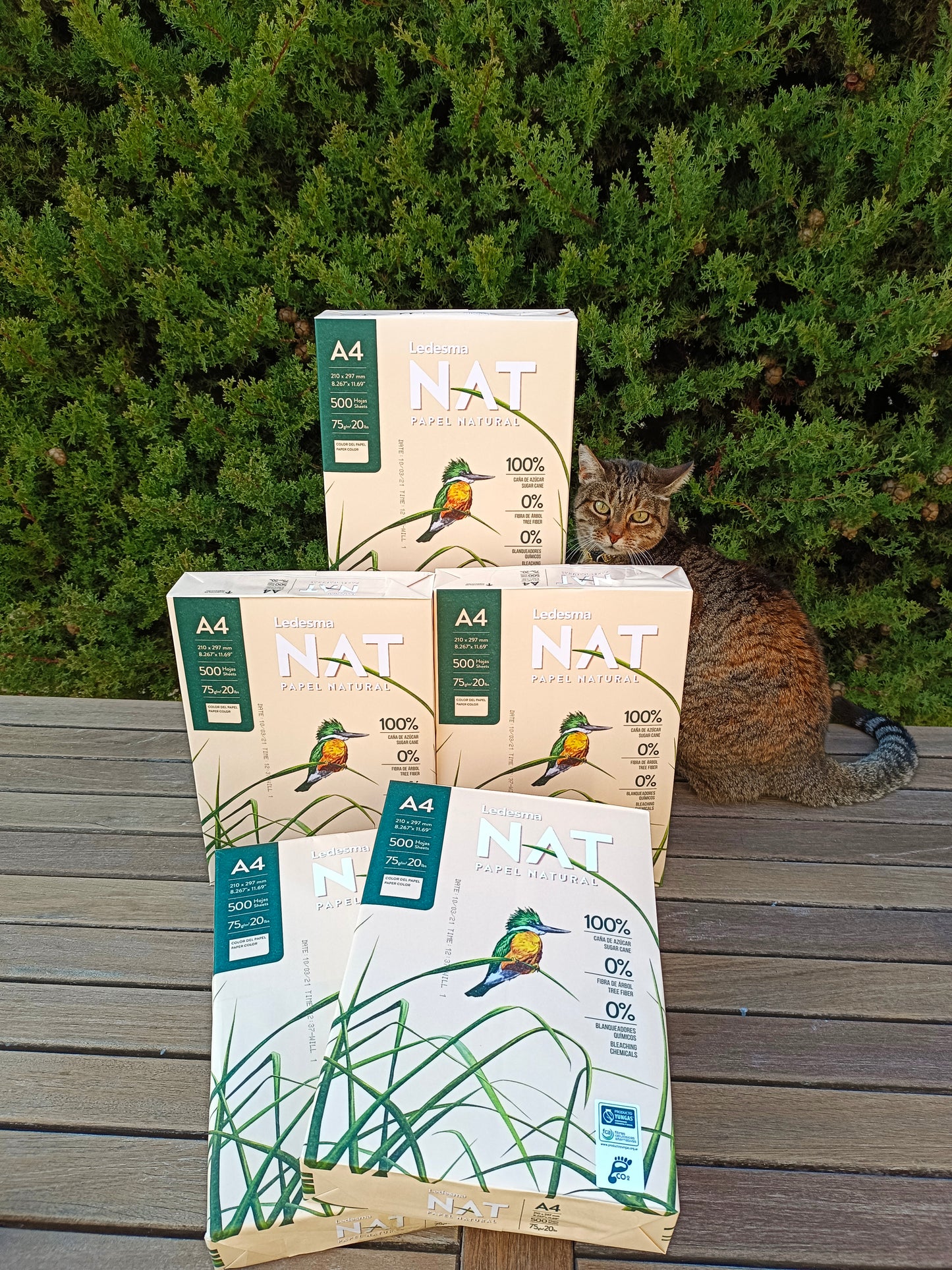 20 cajas. Papel de caña de azúcar