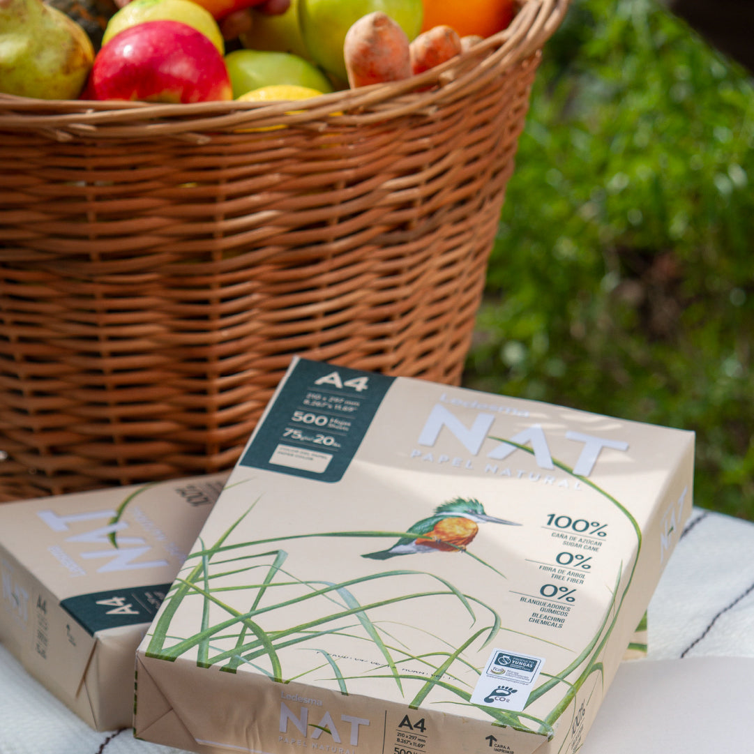 20 cajas. Papel de caña de azúcar