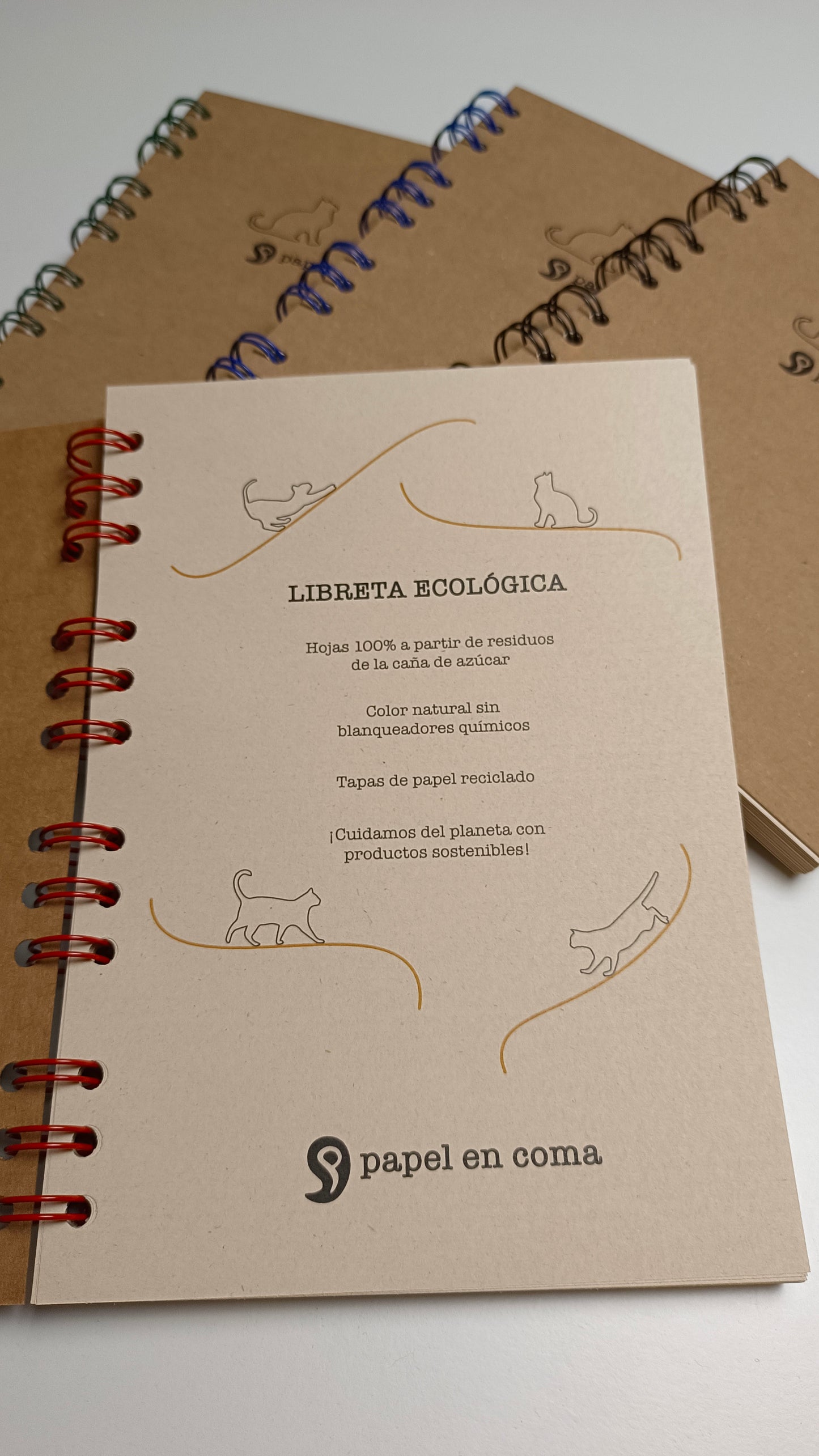 Kit Escolar Ecológico segunda edición