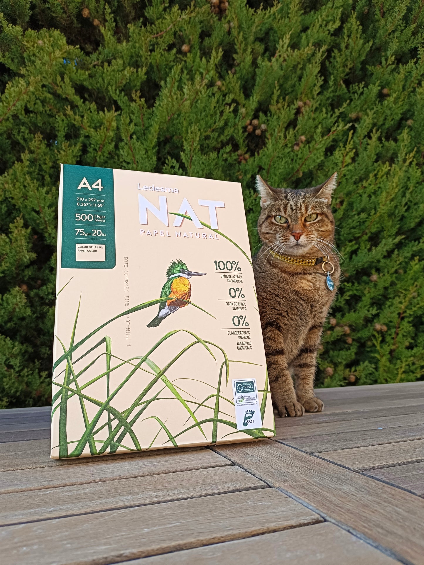 20 cajas. Papel de caña de azúcar