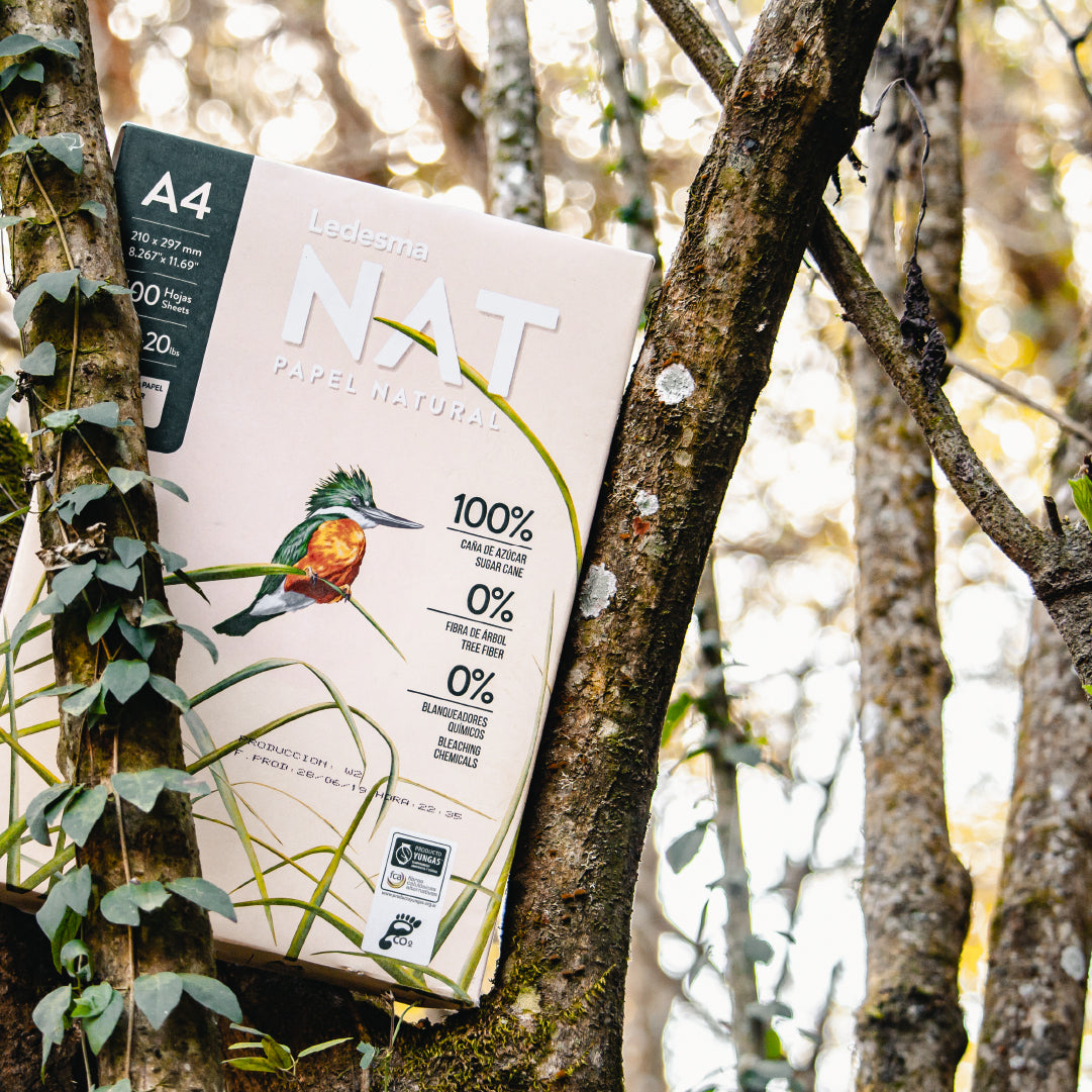 20 cajas. Papel de caña de azúcar